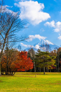 日本秋季环湖枫叶树的富士山美景