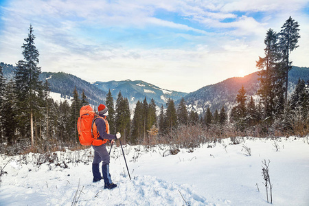 雪覆盖徒步旅行小径冬季森林