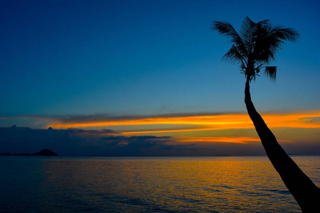 斜斜椰子棕榈树的轮廓，在海洋的背景上戏剧性的黄昏天空