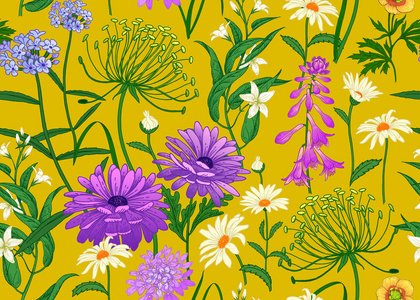 野花。 无缝夏季图案与洋甘菊草本铃铛。 花黄色背景印刷在壁纸纸纺织品织物上。 手绘素描。 时尚插图。