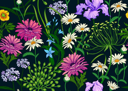 野花。 无缝夏季图案与洋甘菊浆果草本钟鸢尾。 用于在壁纸纸纺织品织物上印刷的花卉背景。 手绘素描。 时尚插图。