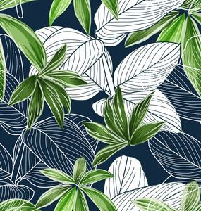 手绘插图与热带植物的叶子。