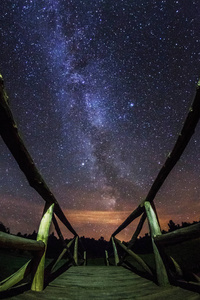 夜晚的风景与五颜六色的银河星星在木猴桥之间的小池塘。 夏天有桥和树的星空。 美丽的宇宙。 太空天文摄影背景