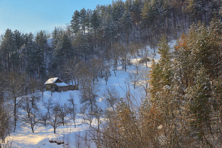 阳光明媚的冬季景观中的木屋