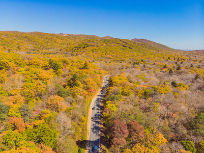 在日落时, 在美丽的秋天森林中可以看到道路的鸟图。美丽的风景与空旷的乡村道路, 树木与红色和橙色的叶子。穿过公园的公路。从飞行无