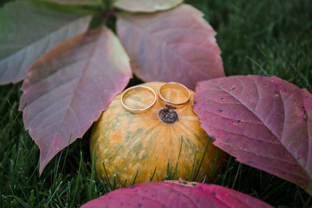 金色的结婚戒指躺在草地上的南瓜上