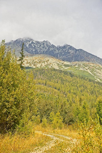 高塔特拉斯山格拉克峰，森林道路在前景。