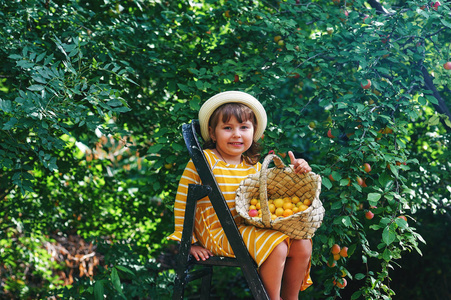 花园里快乐的小女孩在篮子里收获水果