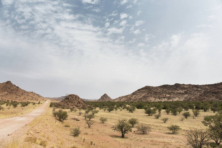 通往纳米比亚沙漠的道路