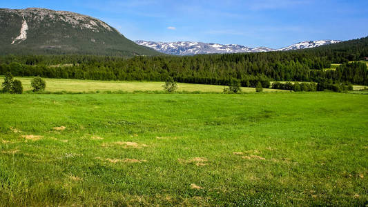 去挪威旅行。 高山和山谷