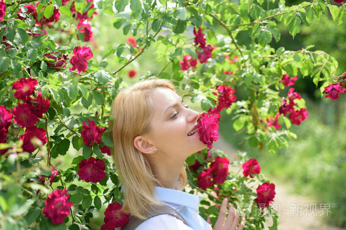 玫瑰花中的性感女人