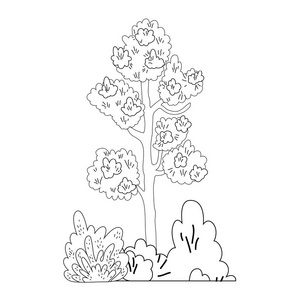 园林矢量插图设计的乔木植物