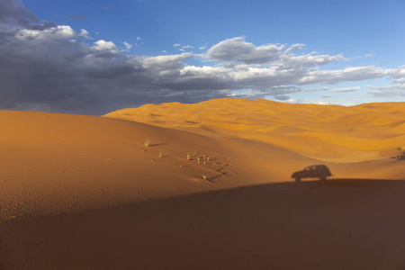 一个非常宽的沙漠沙丘的景色，有一些游客的可见的脚痕和非洲汽车的阴影。