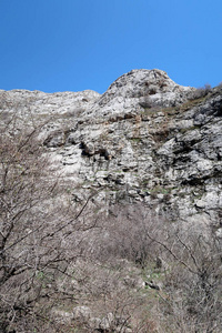 山石山春景