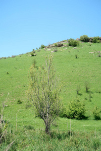 青山春山