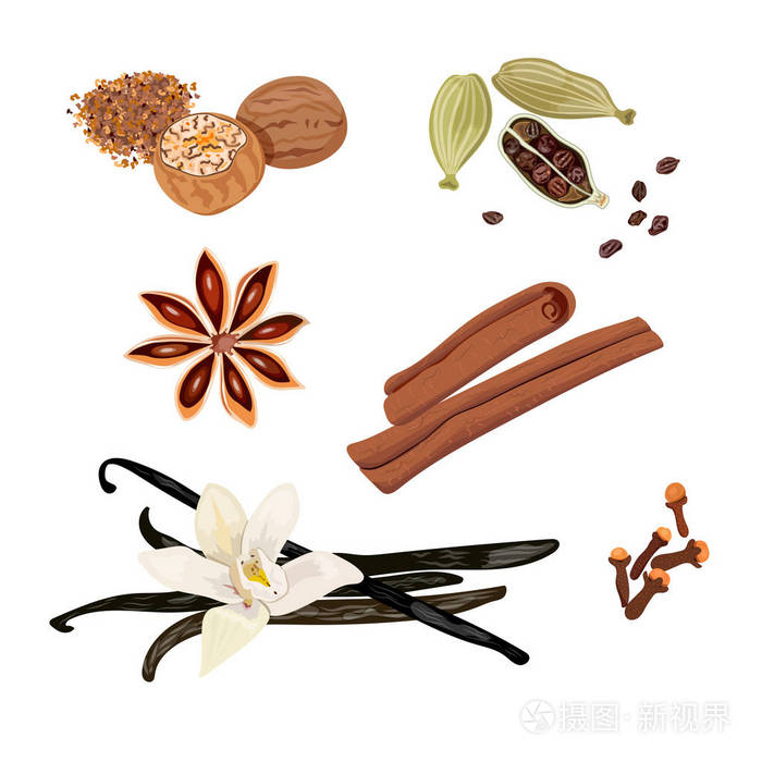 插画 设置矢量图标的香料.