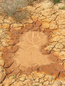 弱植被的浅褐色裂裂土图片