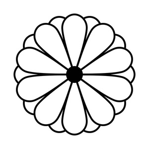 日本菊花矢量无缝图案。向量