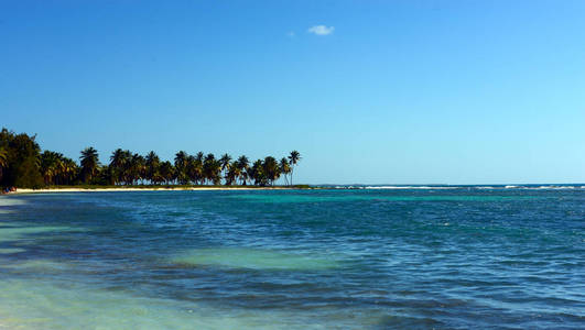 美丽的海景和棕榈树从索纳多米尼加共和国海滩在一个温暖的阳光明媚的日子。 温暖的绿松石水和细白砂是放松的港湾。