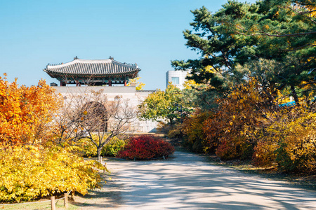 京博京宫，韩国秋枫