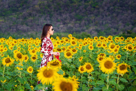 站在向日葵田野里的年轻女人。