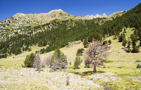 西班牙贝纳斯克山谷比利牛斯山脉晴天。