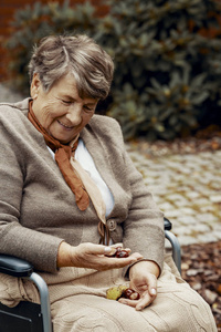 公园里坐在轮椅上手里拿着栗子的微笑的老妇人