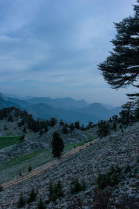 山地岩石景观松林和绿色草地。 n.莱西亚的方式。 自然背景