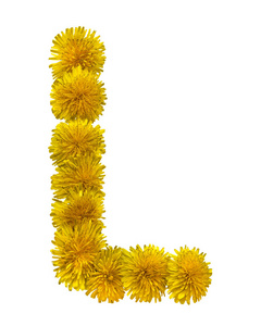 英语字母表的字母是从黄色洋甘菊的花中收集的。 孤立在白色背景上。