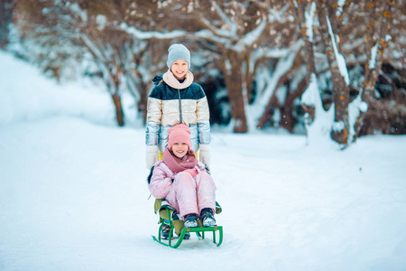 可爱的快乐小女孩在冬天的雪天雪橇