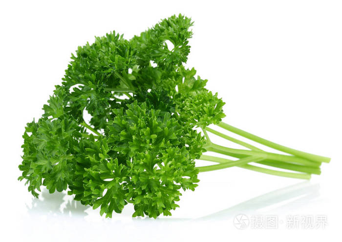 白色背景上分离的新鲜欧芹
