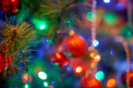圣诞树在温暖的光线内部图片