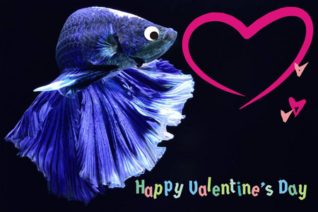 s Day card with a heart on a betta fish backgroundPut the text o