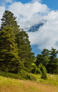 夏季阿尔卑斯山的山景，草原坡度上有野花，瑞士云层上有山峰。