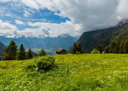夏季阿尔卑斯山脉景观与黄色野花在草原斜坡瑞士。
