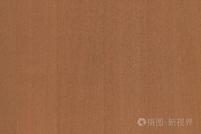 浅棕色树木表面纹理背景图案