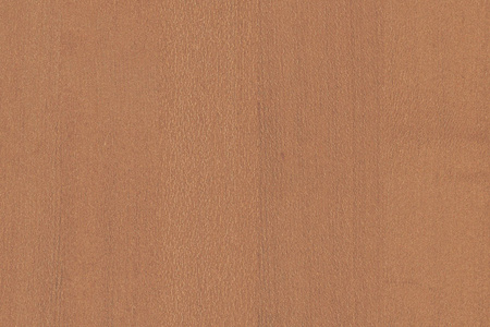 浅棕色树木表面纹理背景图案