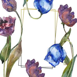 紫色和蓝色郁金香水彩背景插图集。 带有复制空间的框架边框装饰。