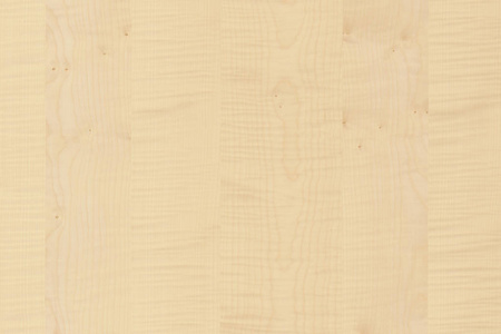 浅棕色树木表面纹理背景图案