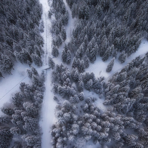 空中无人机在田园诗般的冬季景观中的道路视图。从鸟眼的视野