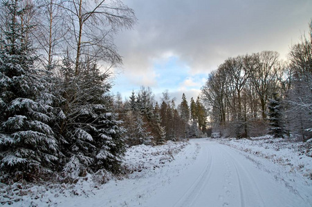 白雪覆盖，白色，冬天的树木背景上的道路离去。