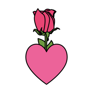 美丽的玫瑰花与心中的爱