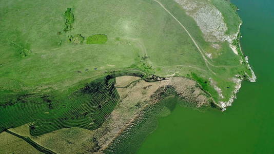 罗马尼亚多布罗加夏季多瑙河岸边的鸟瞰图
