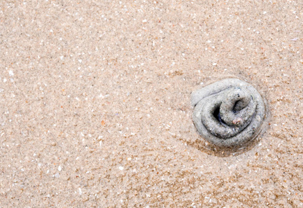 海滩上的一堆沙子从卵虫的排泄中排出