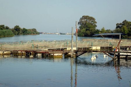 养鱼场在河上图片
