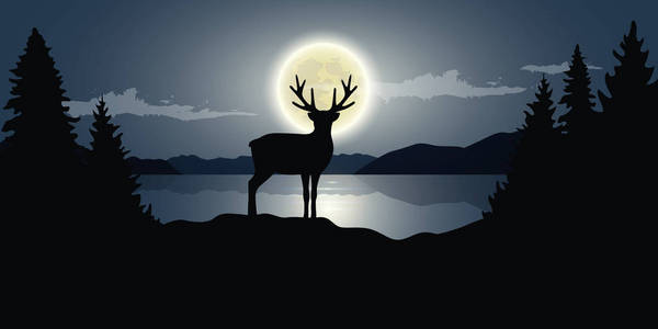 湖边的驯鹿满月黑夜野生动物自然土地 c