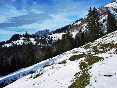 瑞士圣加伦州塞兹塔尔山谷山脉阿尔维耶山脉之间山坡上的树木和针叶林