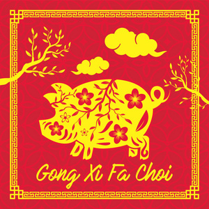 中国新年是一个在中国传统日历上庆祝新年开始的中国节日。这个节日在现代中国通常被称为春节，是亚洲几个农历新年之一。