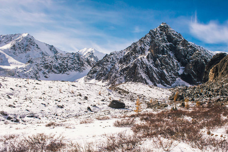 雪山和蓝天下的山顶。 攀登岩石白化病。 阿尔泰山峡冬季全景。