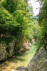 峡谷中的山河，有岩石坡和晴天的绿树